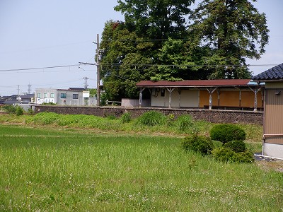 |w摜