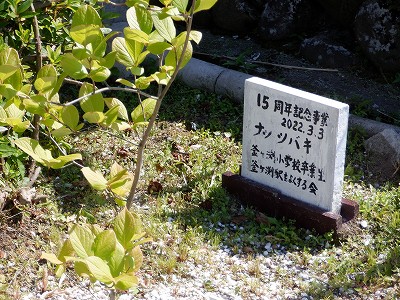 w摜