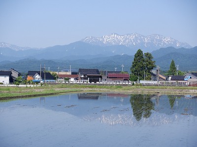 w摜