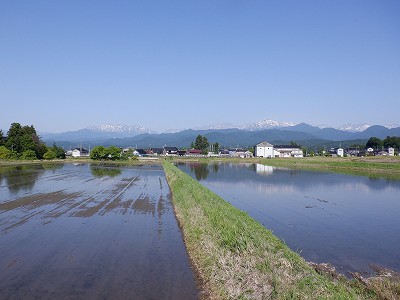 w摜