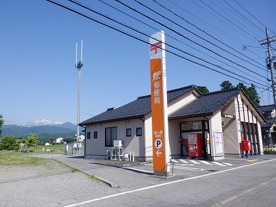 w摜