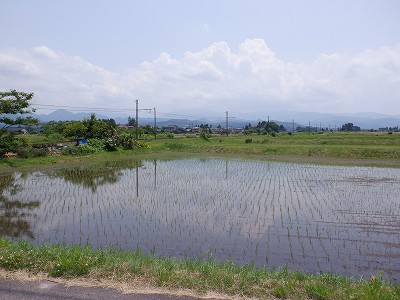 iw摜