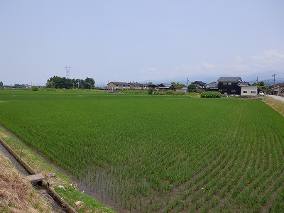 iw摜