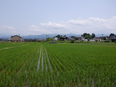 iw摜