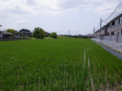 iw摜