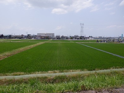 iw摜