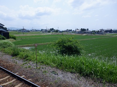 iw摜