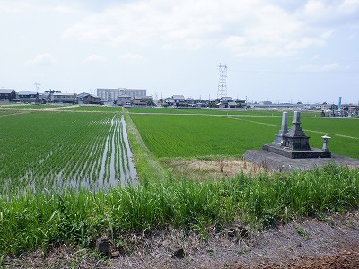 iw摜