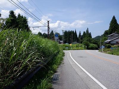_w摜