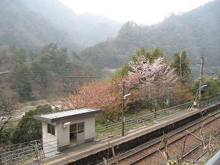 見下ろす