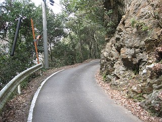 道路