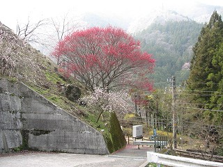 駅入口