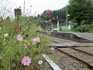 ホーム