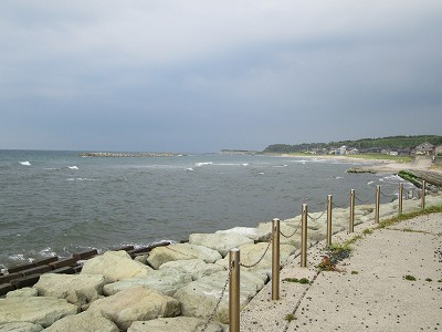 海