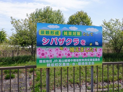 �w���L��w�摜