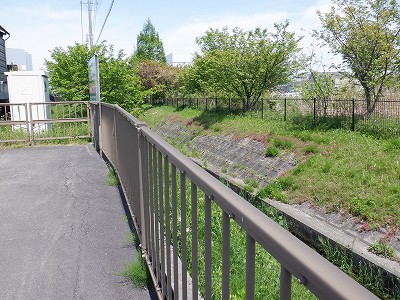 �w���L��w�摜