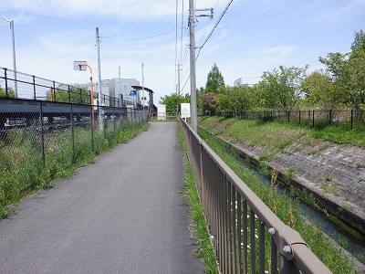 �w���L��w�摜