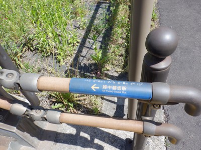 �w���L��w�摜