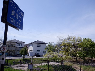 �w���L��w�摜