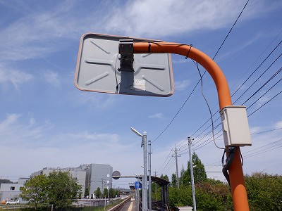 �w���L��w�摜