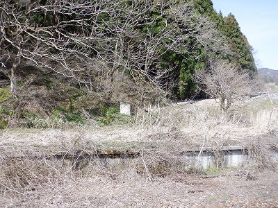w摜