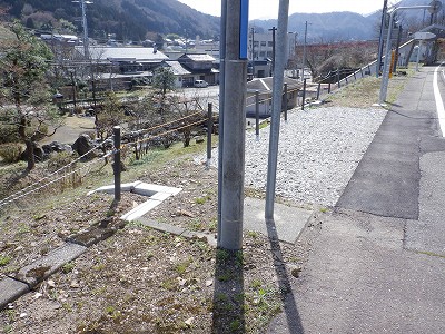 w摜