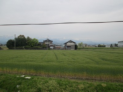 ホームより