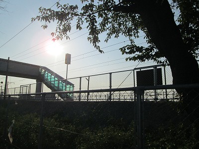 横から