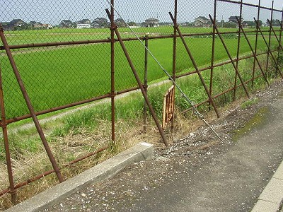 ホーム