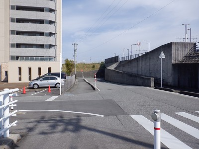 g^reBxR GXNGAܕOiܕLjd摜