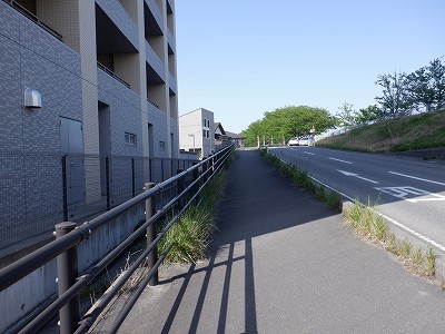 g^reBxR GXNGAܕOiܕLjd摜