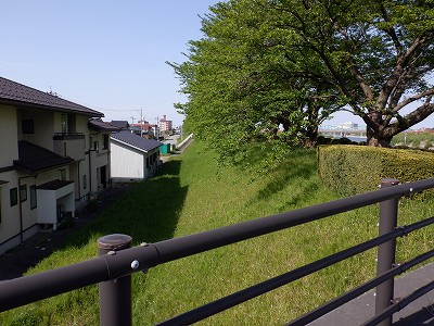 g^reBxR GXNGAܕOiܕLjd摜