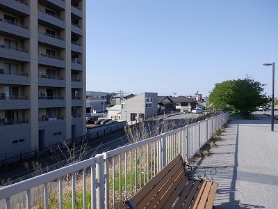 g^reBxR GXNGAܕOiܕLjd摜