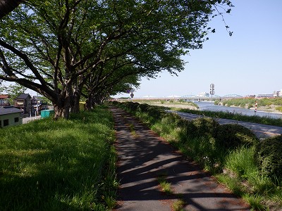 g^reBxR GXNGAܕOiܕLjd摜