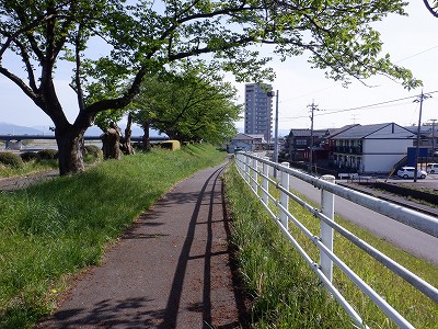 g^reBxR GXNGAܕOiܕLjd摜