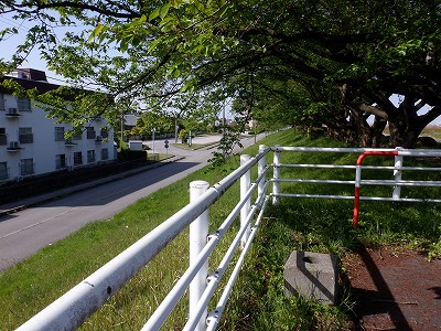 g^reBxR GXNGAܕOiܕLjd摜