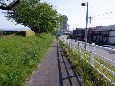 g^reBxR GXNGAܕOiܕLjd摜