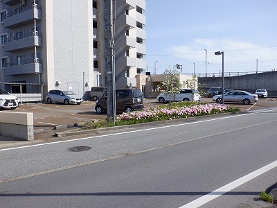 g^reBxR GXNGAܕOiܕLjd摜