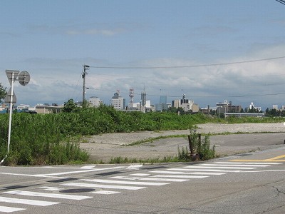 g^reBxR GXNGAܕOiܕLjd摜