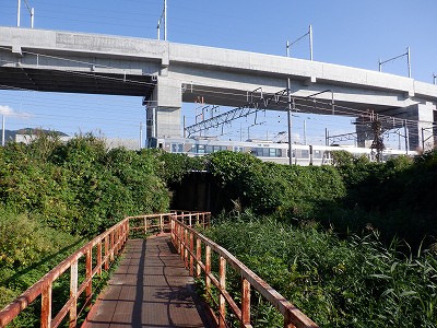 ։w摜