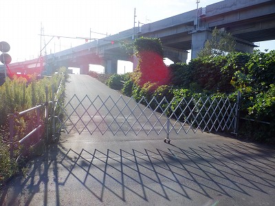 ։w摜