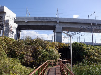 ։w摜