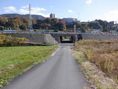 ։w摜