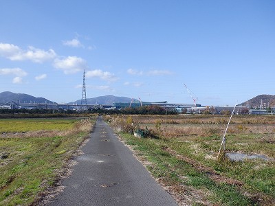 ։w摜