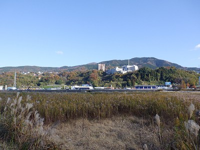 ։w摜
