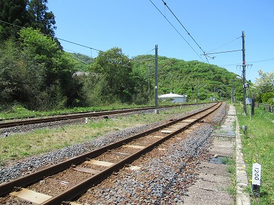 w摜