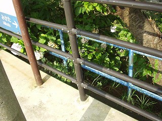 柵