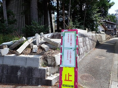 w摜