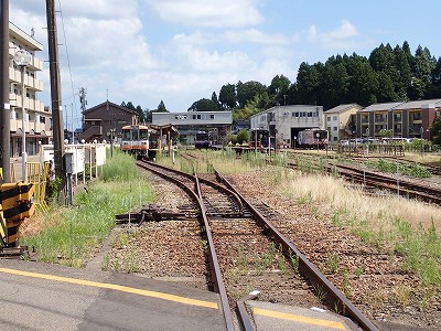 w摜