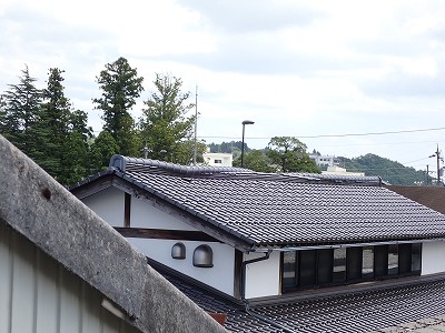 w摜